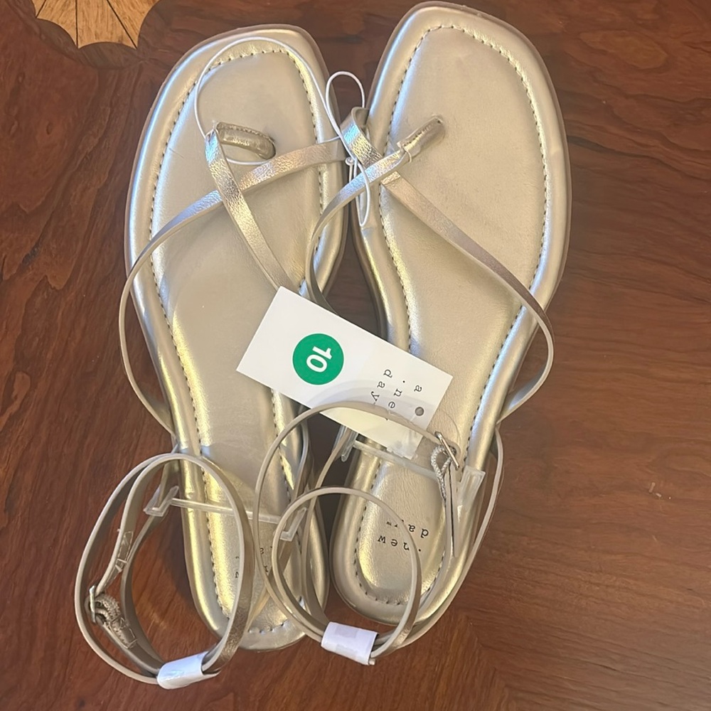 NWT Louisa Ankle Strap Thong Sandal - 10